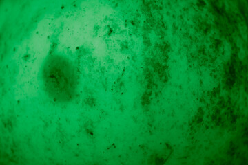 Fototapeta na wymiar green apple skin with visible details. background