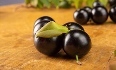 Jabuticaba, jabuticabas in detail on rustic wood, selective focus.