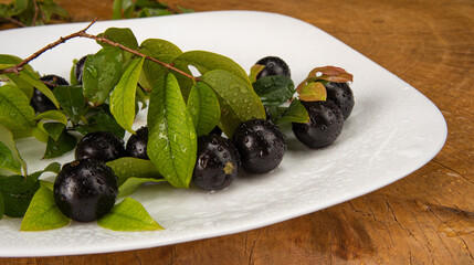 Jabuticaba, jabuticabas in detail inside a white plate with branches and leaves on rustic wood, selective focus.