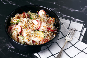 Fresh vegetables salad with lucerne sprouts and feta cheese.