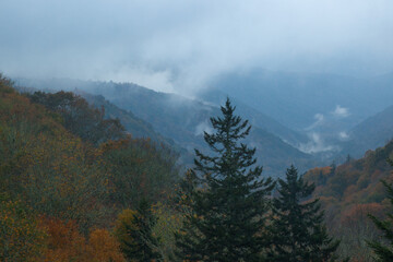 Mountain with morning clouds and mist