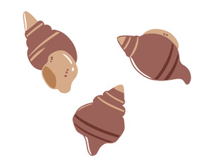 ツブガイ　線無し