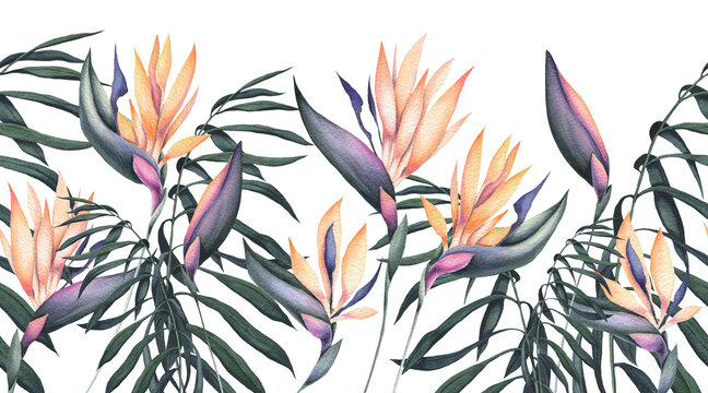 Seamless Border of Watercolor Palm Leaves and Strelitzia Flowers