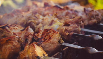 Shashlik or shish kebab preparing on barbecue grill over hot charcoal. Grilled pieces of pork meat on metal skewers.
