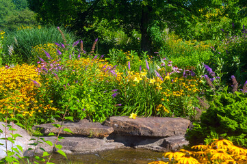 Butterfly garden by a small pond
