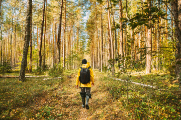 Young Woman Tourist Lady Dressed In Yellow Jacket Of Autumn Forest. Hiker Walking In Fall Mixed...