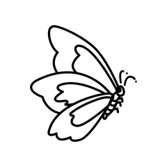 Butterfly icon in trendy flat design