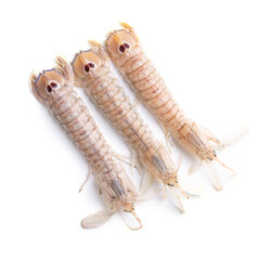 shellfish galleys (squilla mantis)
