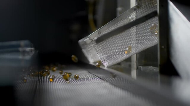 Gelatin capsules in the production of vitamins and medicines. Supplements are made on an automatic medical conveyor equipment. Pharmacological plant of medicines of yellow color. Slow motion