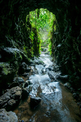 Tropical Hawaiian Waterfall Stream