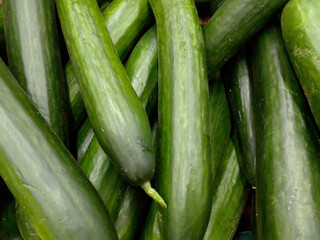 background of long cucumbers. High quality photo