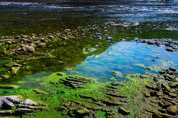 Landscape with a riverain bank, on a sunny day in summer