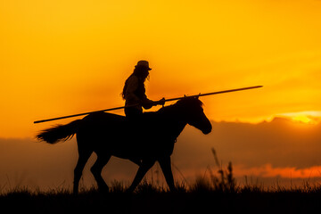 Fototapeta na wymiar silhouette of a rider on a horse with a long spear