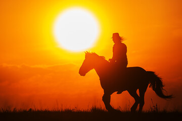 silhouette of a woman with a hat riding a horse against the sun
