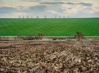 In the foreground large pieces of soil from a plowed field, in the background to a green field with patterns and trees