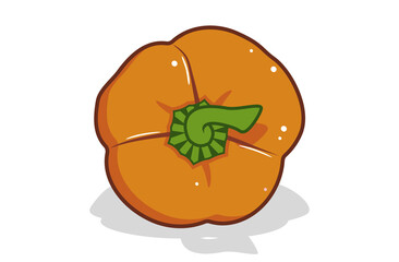 Fresh bell pepper. Vector paprika. Orange sweet pepper.