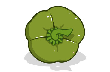 Fresh bell pepper. Vector paprika. Green sweet pepper.