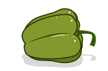 Fresh bell pepper. Vector paprika. Green sweet pepper.