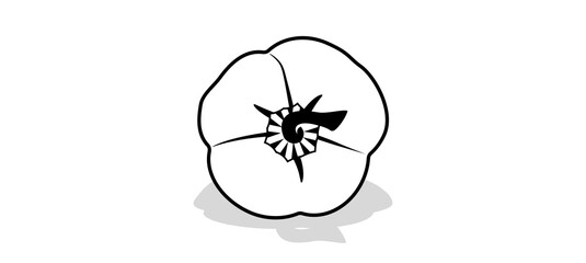 Fresh bell pepper. paprika Vector. Black and white sweet pepper.