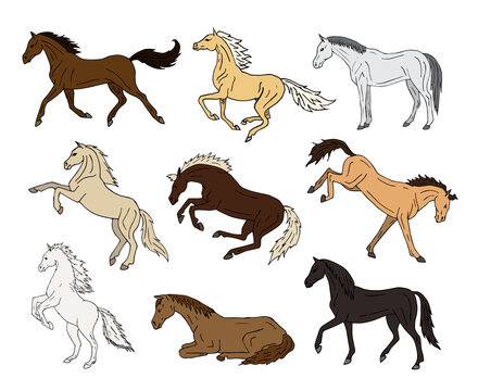 Vector set bundle of different color hand drawn doodle sketch horse isolated on white background