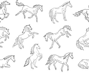 Vector seamless pattern of hand drawn doodle sketch horse isolated on white background