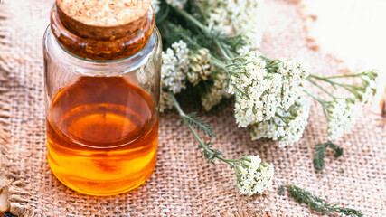 Yarrow herbal tincture in white bottle with a cork. Achillea millefolium white fresh flowers On a wooden cutting board ready for cooking medicines, medicines or drying