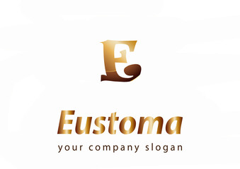 letter E logo Template for your company