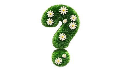 Question mark grass font with flower chamomile isolated on white background. Concept of grassed question symbol. Metaphor for nature, conservation, organic, growth, environment, ecology. 3D rendering
