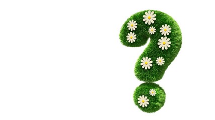Question mark grass font with flower chamomile isolated on white background. Concept of grassed question symbol. Metaphor for nature, conservation, organic, growth, environment, ecology. 3D rendering