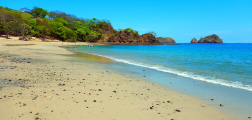 Costa Rica Pacific sea life