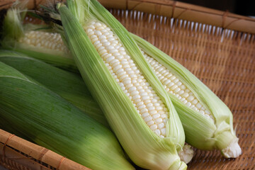 ホワイトスイートコーン
