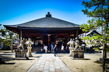 天橋立、知恩寺周辺の情景