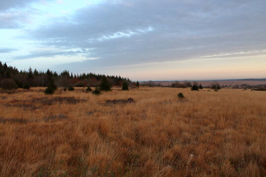 hautes fagnes