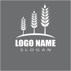Obraz premium Agriculture wheat vector icon design