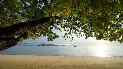 Morning on the peaceful beach of Thailand - 431083007