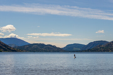 Fototapeta na wymiar beautiful Skaha lake panorama with blue sky and white clouds summer morning