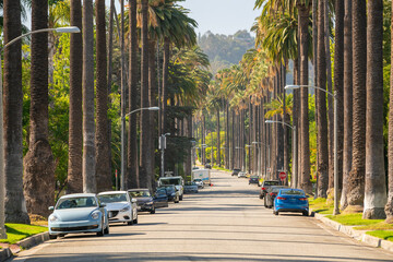 Street with palms in Beverly Hills, Los Angeles, California