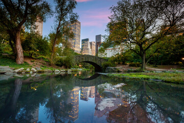 Fototapeta na wymiar Central Park and Manhattan city Skyline in New York City USA