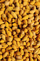 Fresh and pure turmeric dried in the sun stock photo