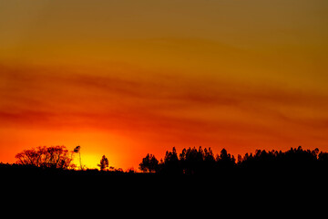Fototapeta premium Colorful hues of the evening in the fields of the Pampa biome in southern Brazil.
