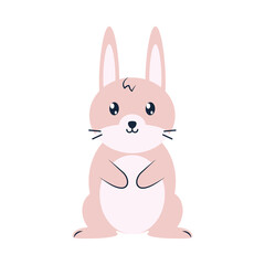 cute pink rabbit