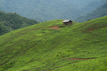 The green mountain has a hut on top. Agricultural areas in rural areas of Nan Province, Northern Thailand, shifting cultivation, forest destruction for arable land. - obrazy, fototapety, plakaty