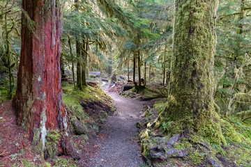Olympic National Park