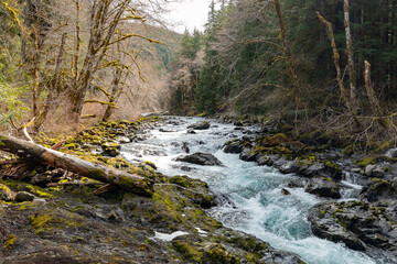 Olympic National Park