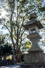 Fototapeta premium 神社の灯篭