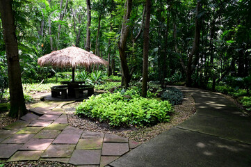 Garden walkways covered with stone slabs, nature background in the park at Thailand.