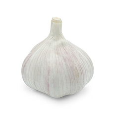 Fresh garlic or Allium sativum, Spices ingredient for cooking, Isolated on white background, Cut out with clipping path