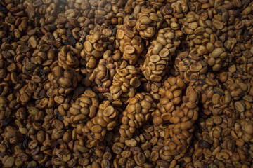 Kopi luwak or civet coffee, coffee beans excreted by civet.