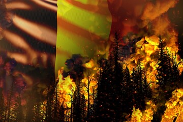 Big forest fire fight concept, natural disaster - flaming fire in the trees on Romania flag background - 3D illustration of nature