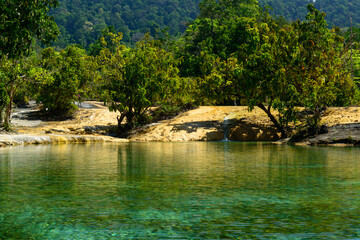 Beautiful yellow and green colors mineral water pond is surrounded by rainforest, Emerald Pool, Khlong Thom District, Krabi, Thailand.